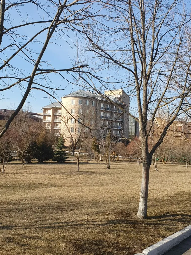 Супериор